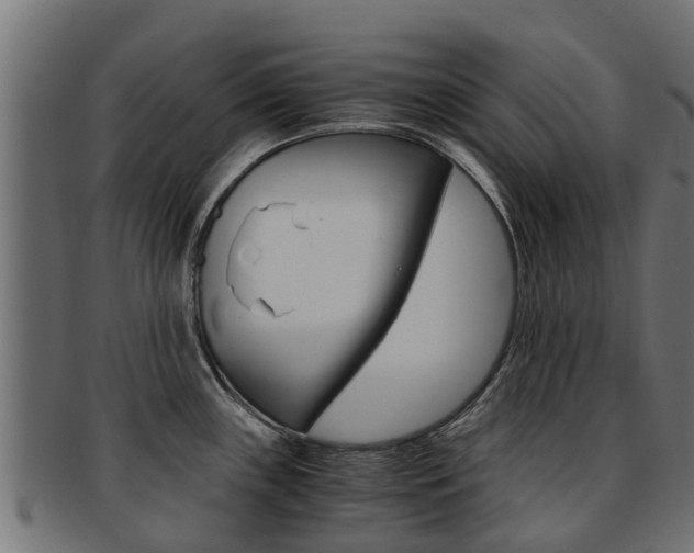 X0000092001243200709061234