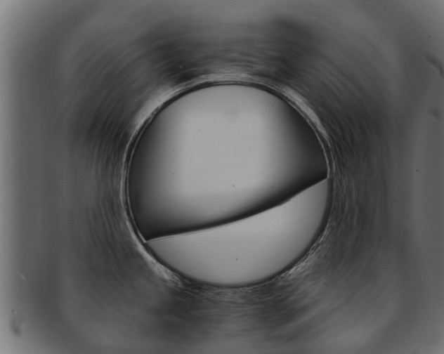 X0000092001245200709061234