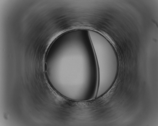 X0000092001246200709061234