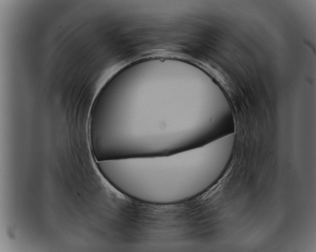 X0000092001247200709061234