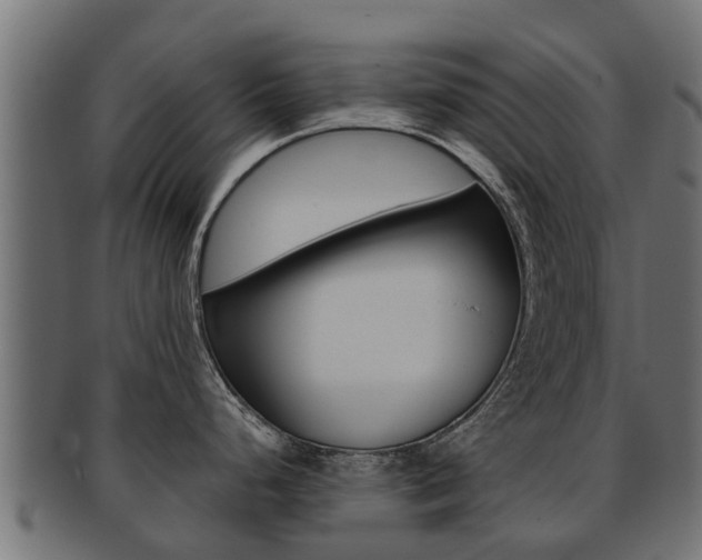 X0000092001248200709061234
