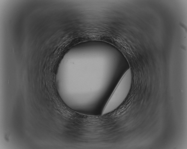 X0000092001249200709061233
