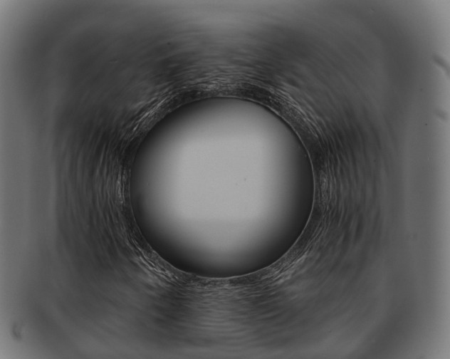 X0000092001250200709061233
