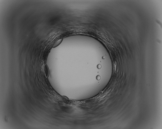 X0000092001251200709061233
