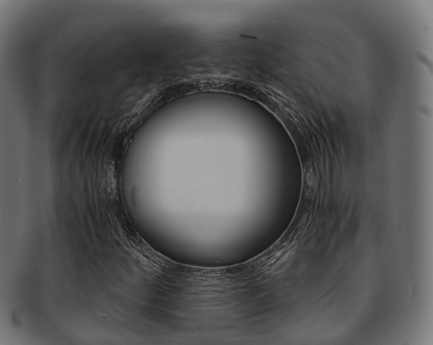 X0000092001252200709061233
