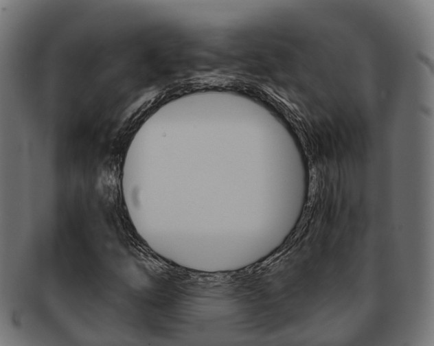 X0000092001254200709061233