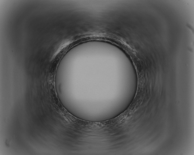 X0000092001255200709061233