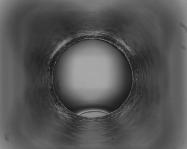 X0000092001256200709061233
