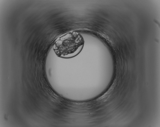 X0000092001257200709061233