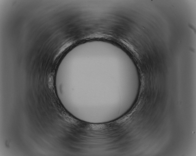 X0000092001258200709061233