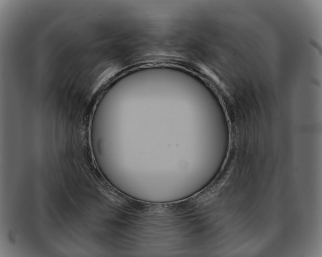 X0000092001259200709061233