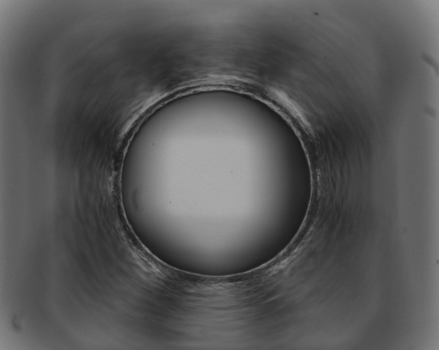 X0000092001260200709061233