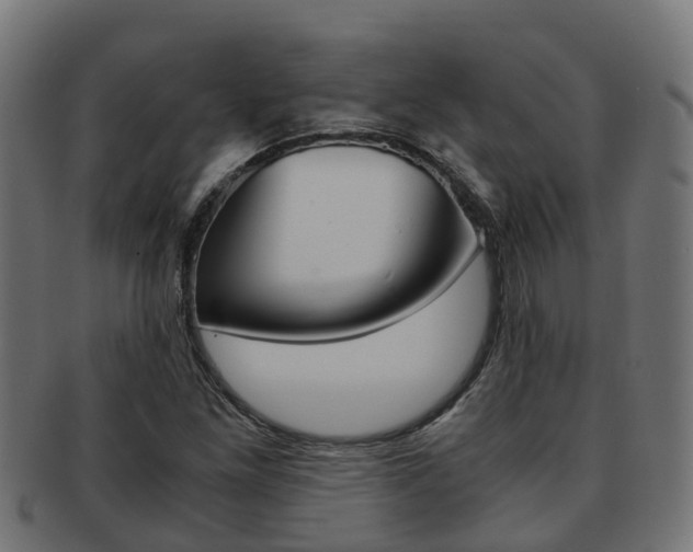 X0000092001261200709061233