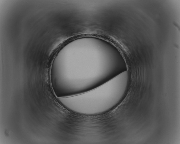 X0000092001262200709061233