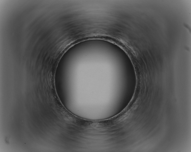 X0000092001265200709061233