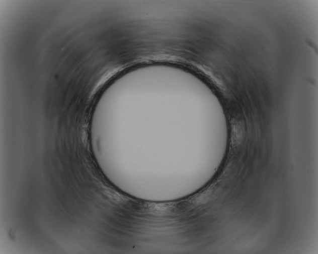 X0000092001266200709061233