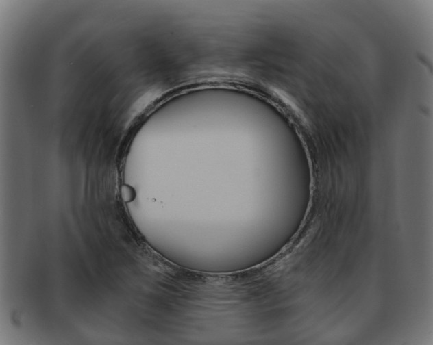 X0000092001267200709061233