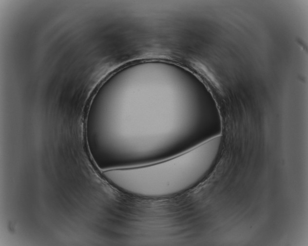 X0000092001268200709061233