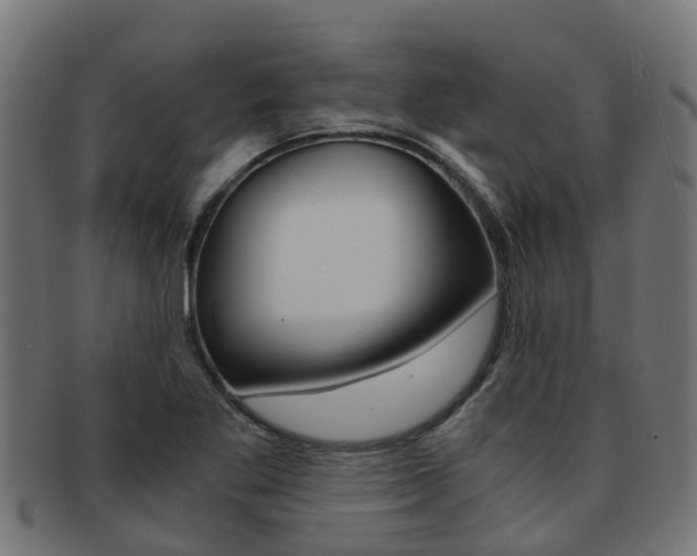 X0000092001269200709061233