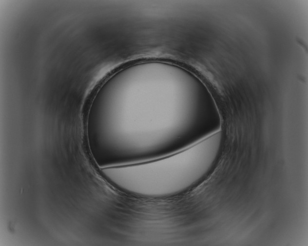 X0000092001270200709061233