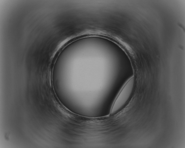 X0000092001272200709061233