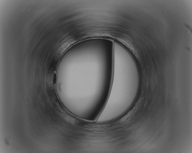 X0000092001273200709061233