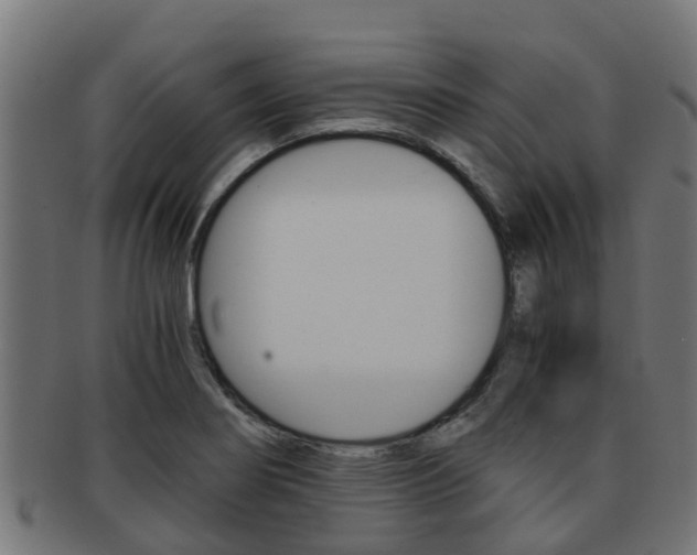 X0000092001274200709061233