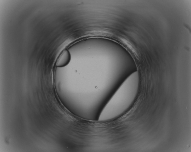 X0000092001275200709061233