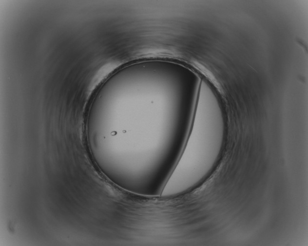 X0000092001277200709061233