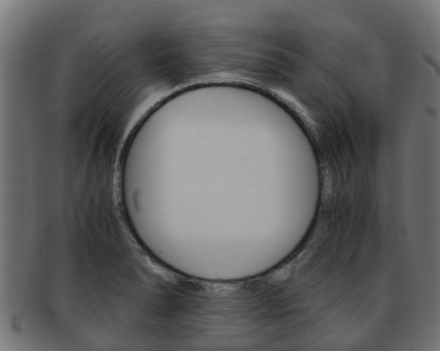 X0000092001278200709061233