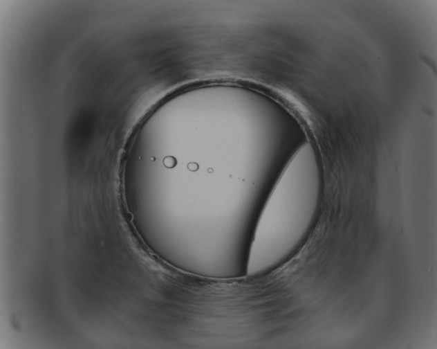 X0000092001279200709061233