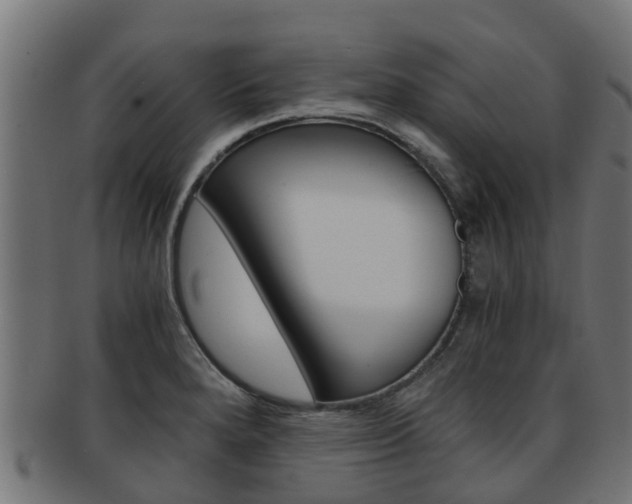 X0000092001280200709061233
