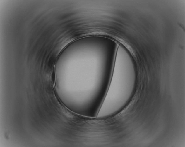 X0000092001281200709061233