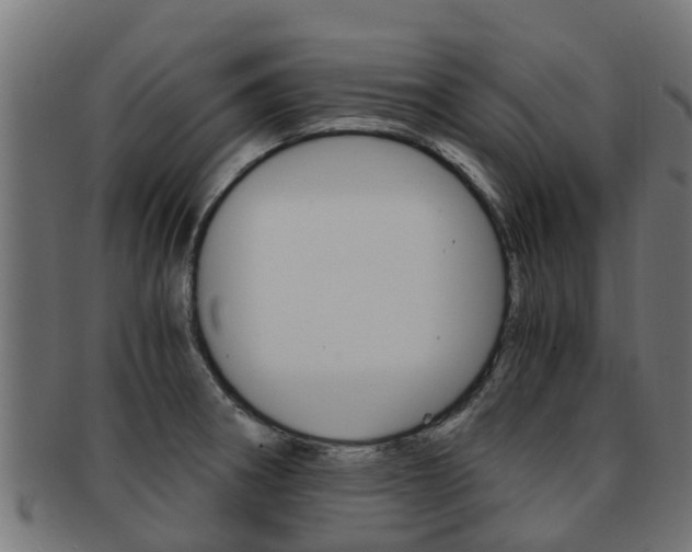 X0000092001282200709061233