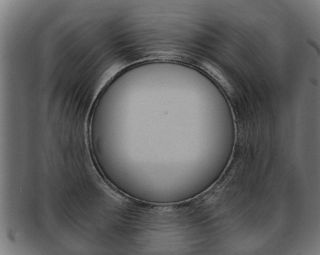 X0000092001283200709061233