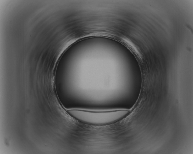X0000092001284200709061233