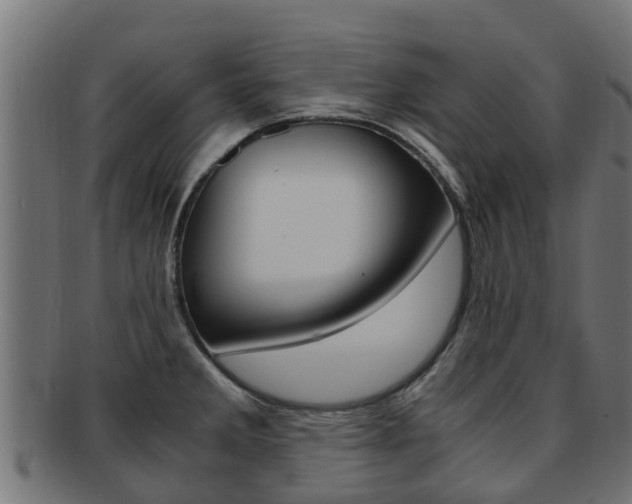 X0000092001285200709061233