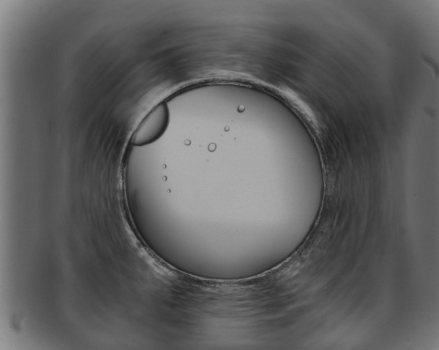 X0000092001287200709061233