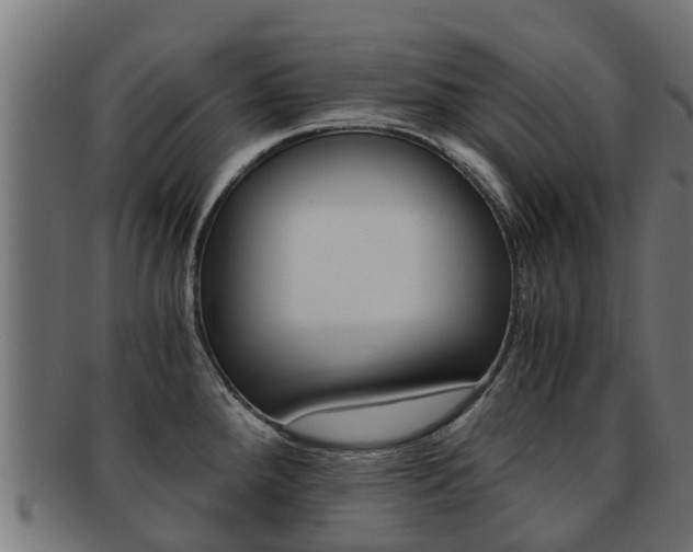 X0000092001288200709061233