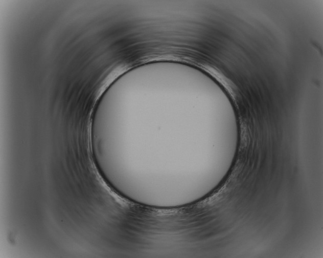 X0000092001290200709061233