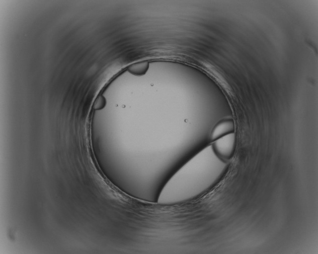 X0000092001291200709061233