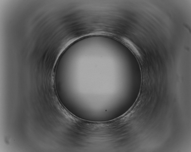 X0000092001292200709061233