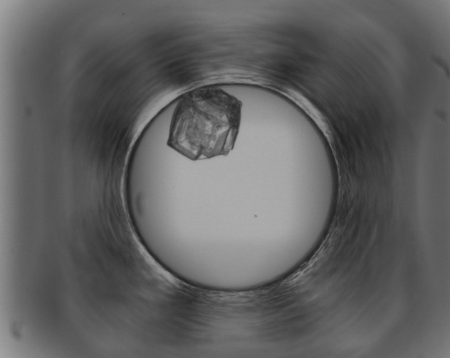 X0000092001293200709061233