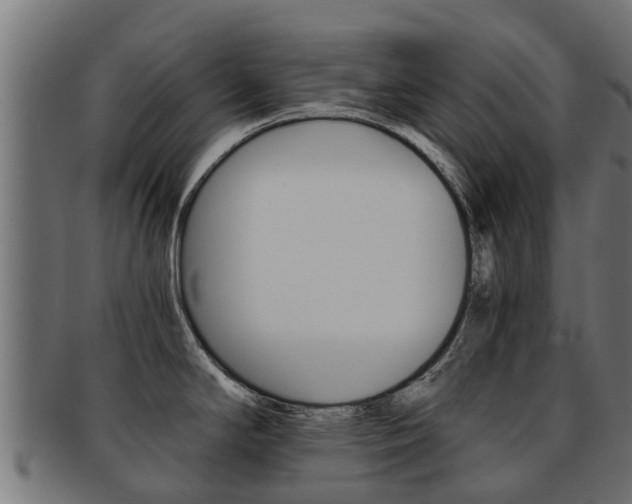 X0000092001294200709061233
