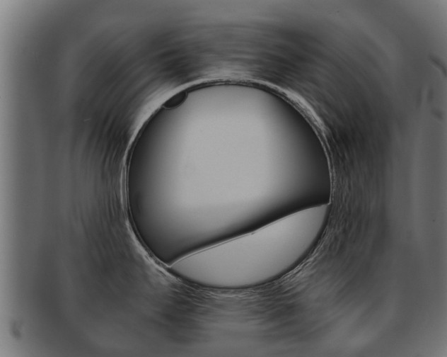 X0000092001295200709061233