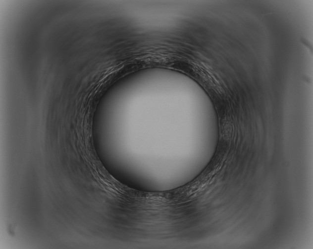 X0000092001297200709061232