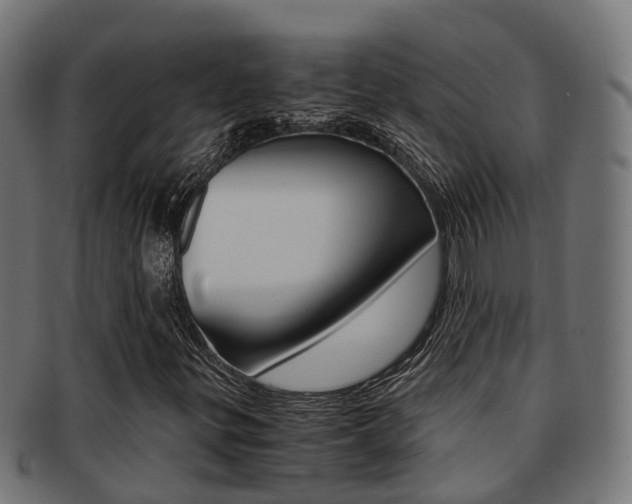 X0000092001299200709061232
