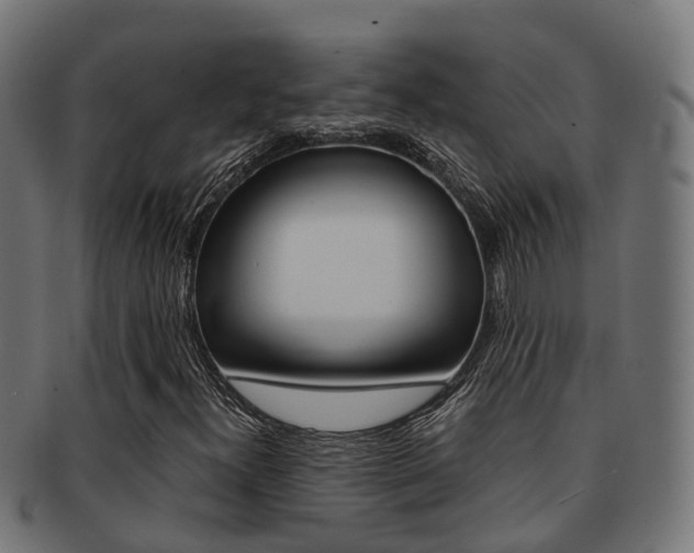 X0000092001300200709061232