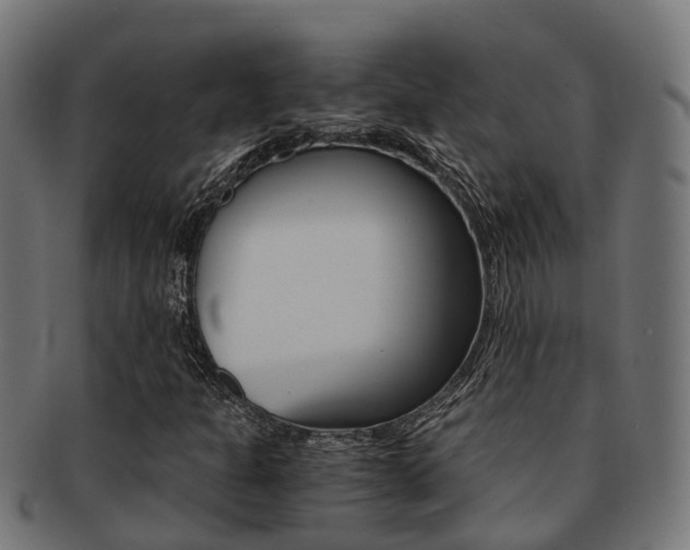 X0000092001301200709061232