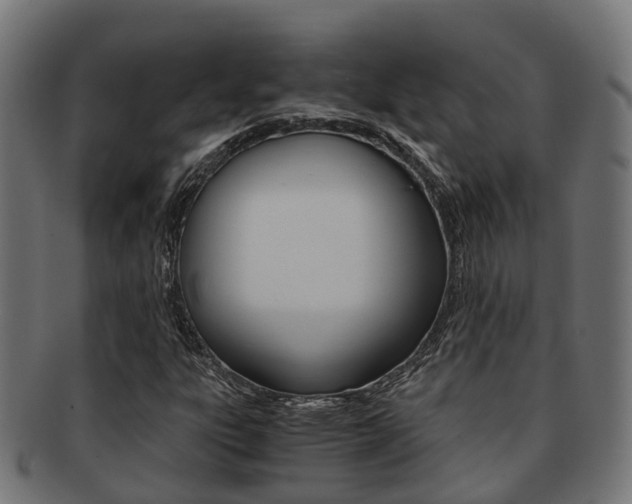 X0000092001303200709061232